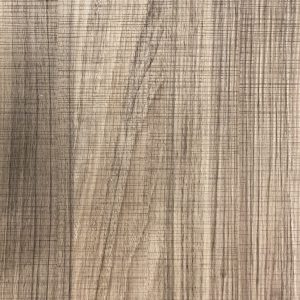 hanplus-LP_1119 Portrait