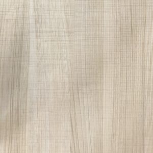 hanplus-LP_1120 Portrait