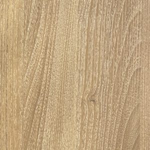 hanplus-LP_2004 Portrait